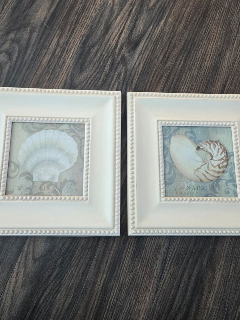 BED BATH & BEYOND Pair of Beach-Themed Seashell Framed Art NWT